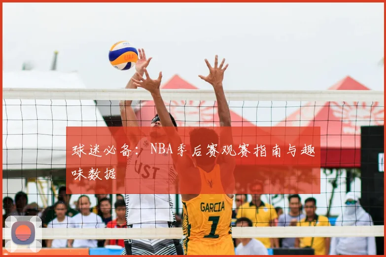 球迷必备：NBA季后赛观赛指南与趣味数据