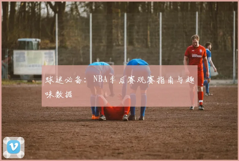 球迷必备：NBA季后赛观赛指南与趣味数据